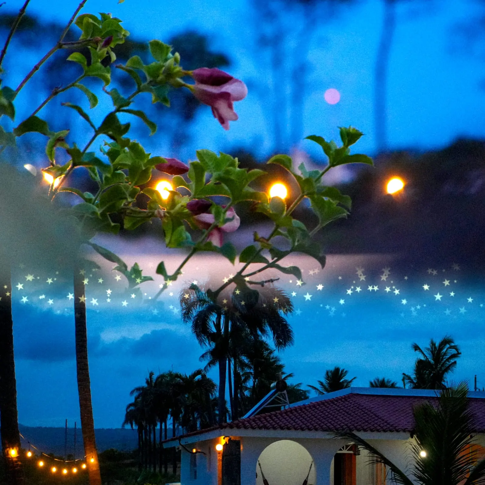 Luces del jardín al anochecer