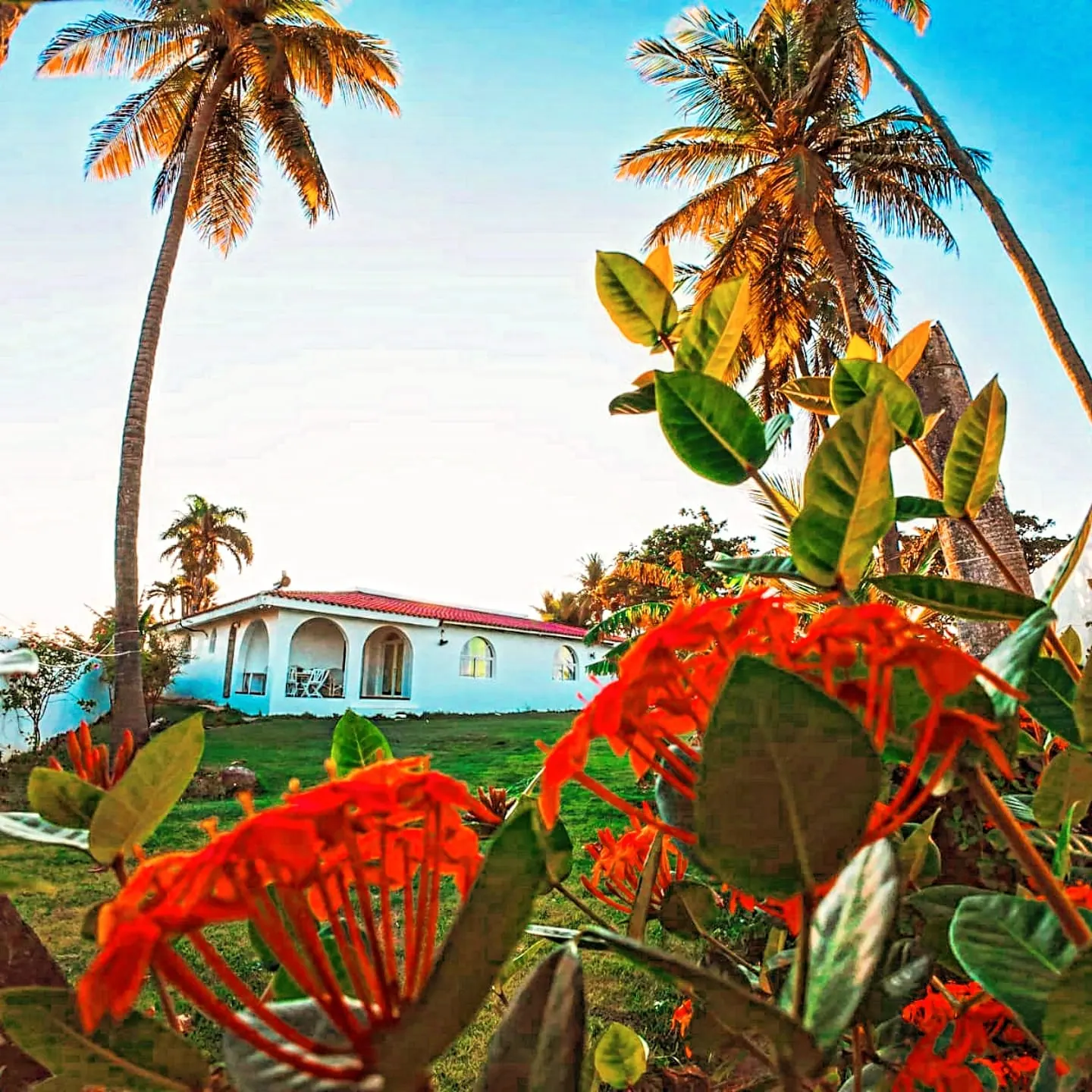 La villa detrás de flores rojas de ixora