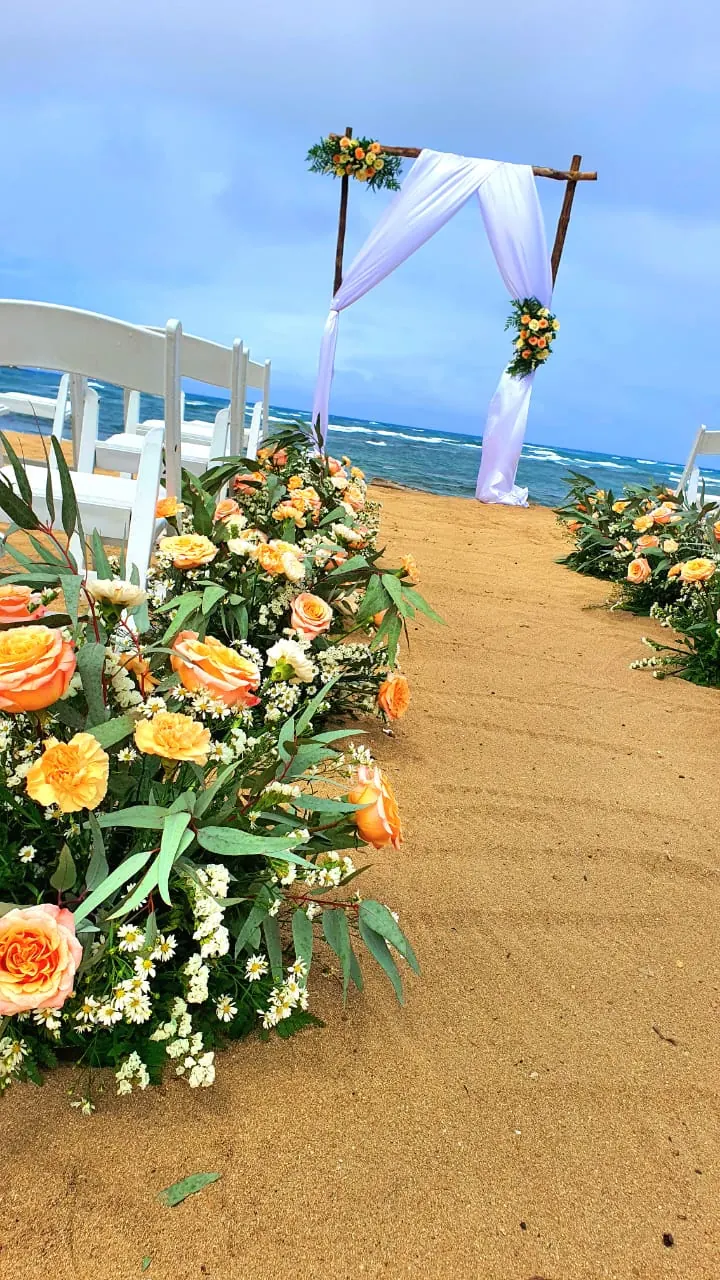 Arco nupcial y pasillo de flores